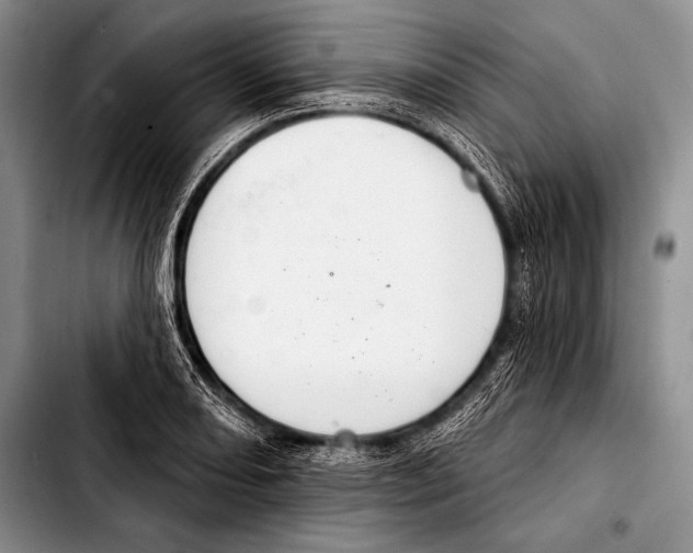 X0000103401082200810100928