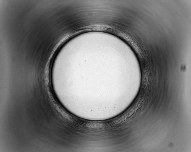 X0000103401083200810100928