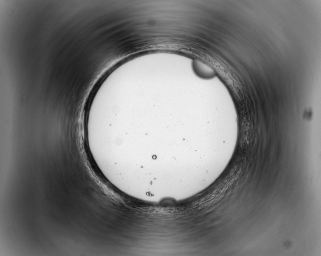 X0000103401084200810100928