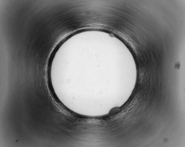 X0000103401085200810100928