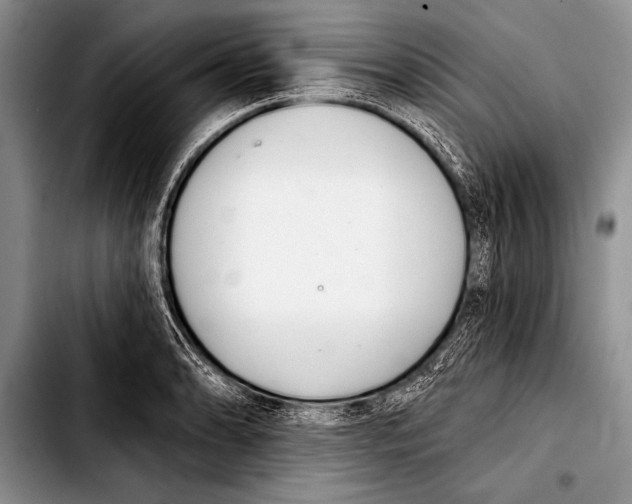 X0000103401086200810100928