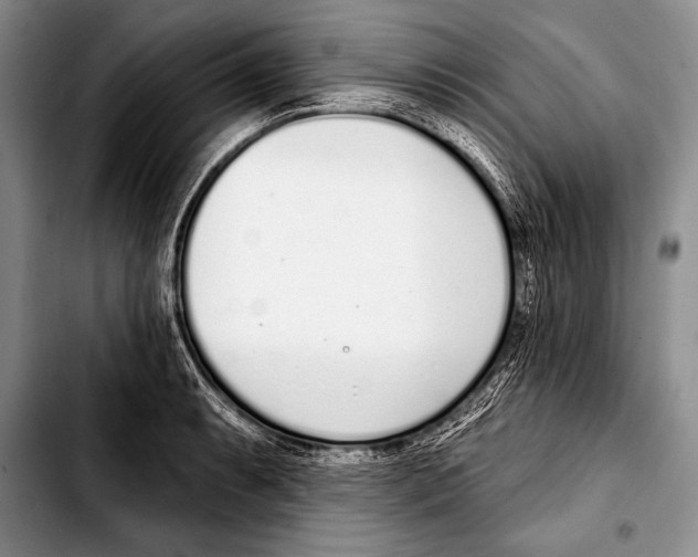 X0000103401087200810100928