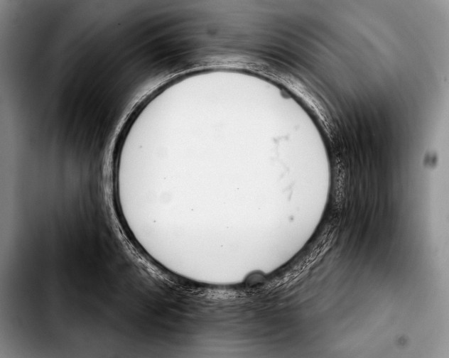 X0000103401088200810100928