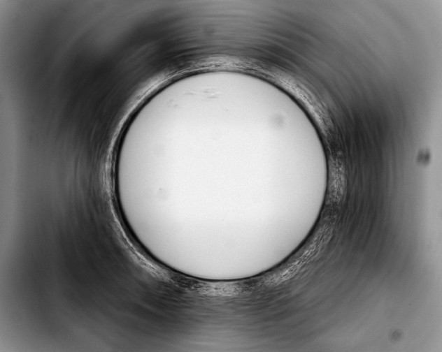 X0000103401090200810100928