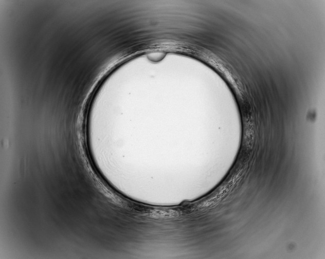 X0000103401091200810100928