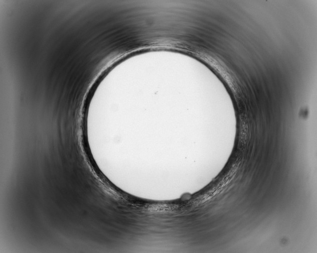 X0000103401093200810100928