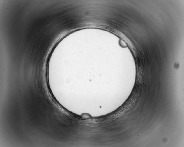 X0000103401096200810100928