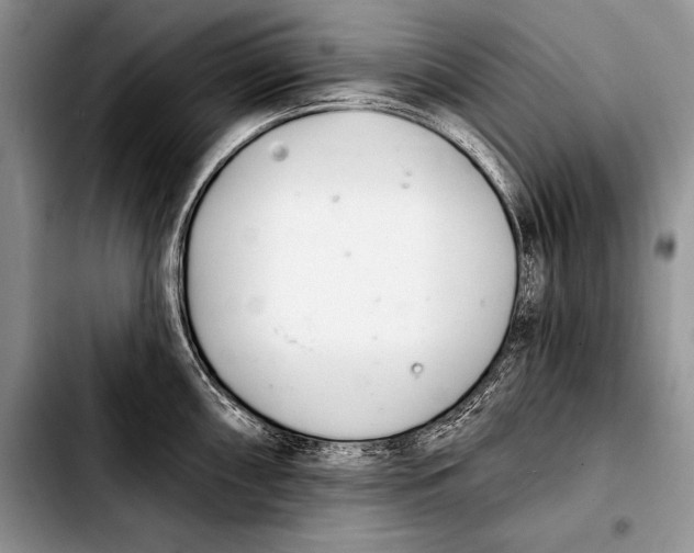 X0000103401098200810100928