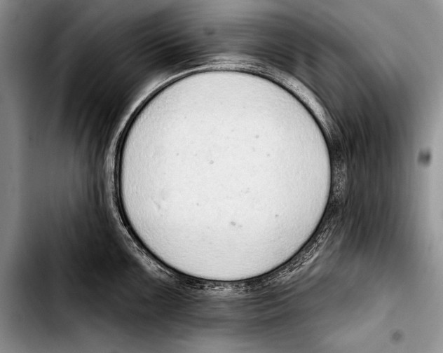 X0000103401099200810100928