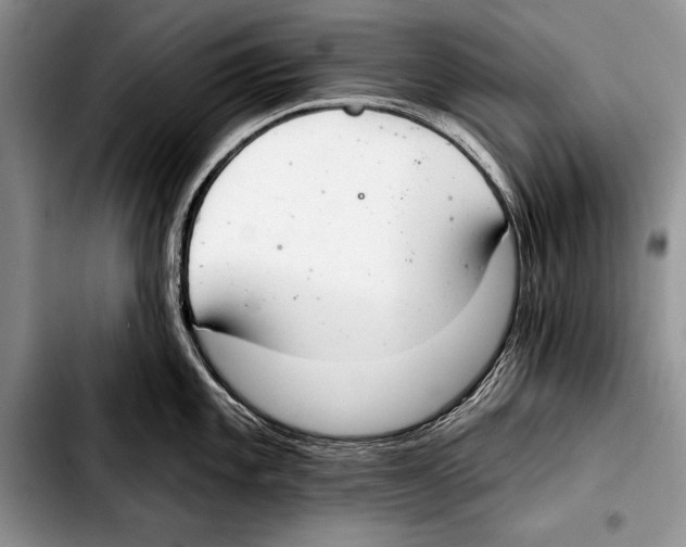 X0000103401101200810100928