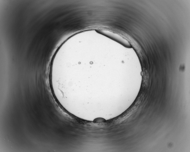 X0000103401102200810100928