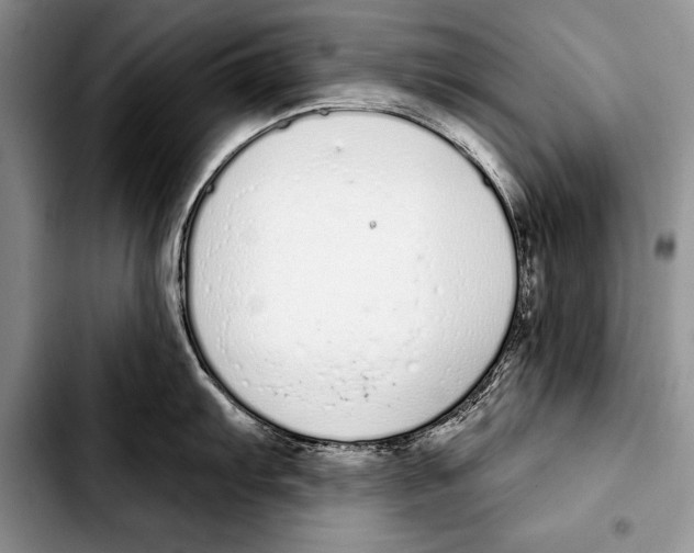 X0000103401103200810100928