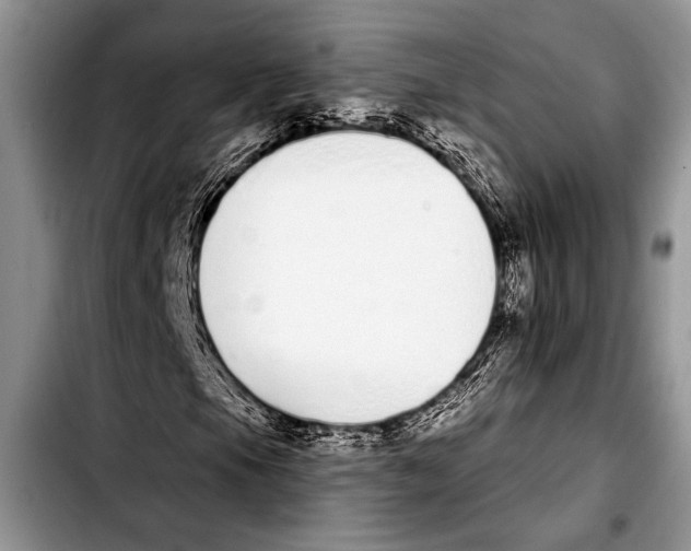 X0000103401105200810100927