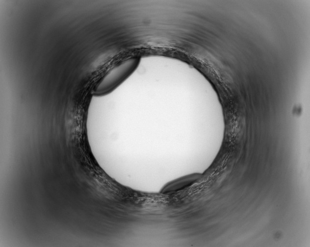 X0000103401110200810100927