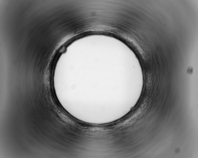 X0000103401114200810100927