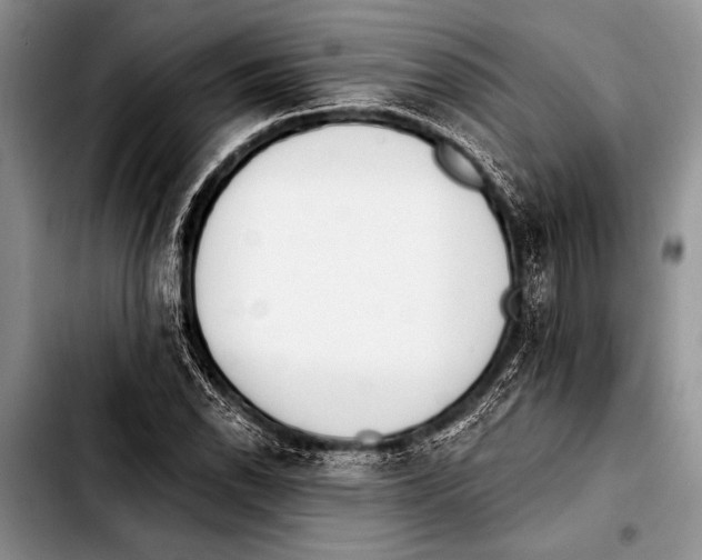 X0000103401118200810100927