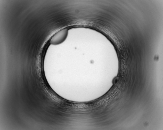 X0000103401120200810100927