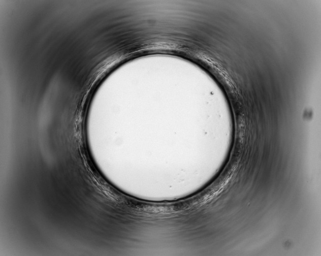 X0000103401121200810100927