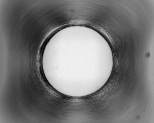 X0000103401124200810100927