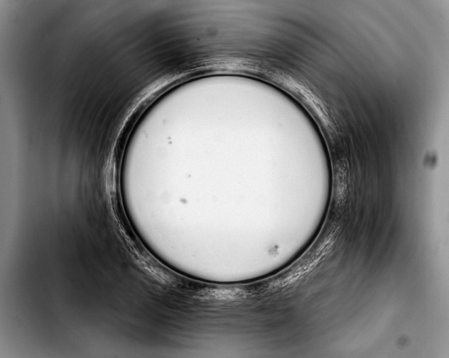 X0000103401125200810100927