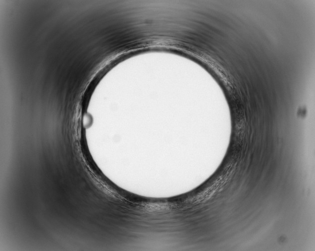 X0000103401126200810100927