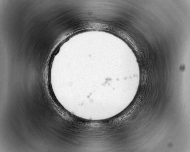 X0000103401130200810100928