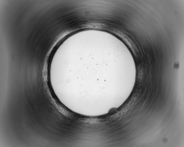 X0000103401131200810100928