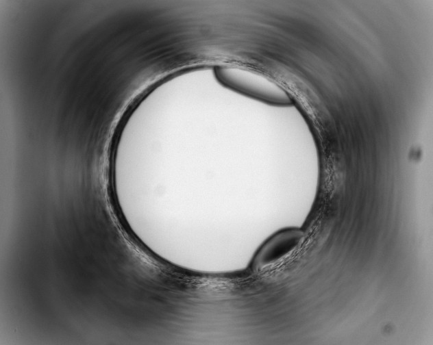 X0000103401136200810100928