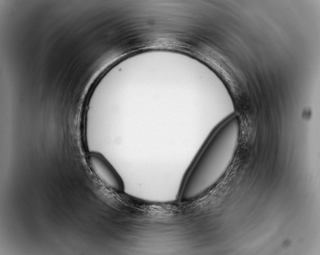 X0000103401138200810100928