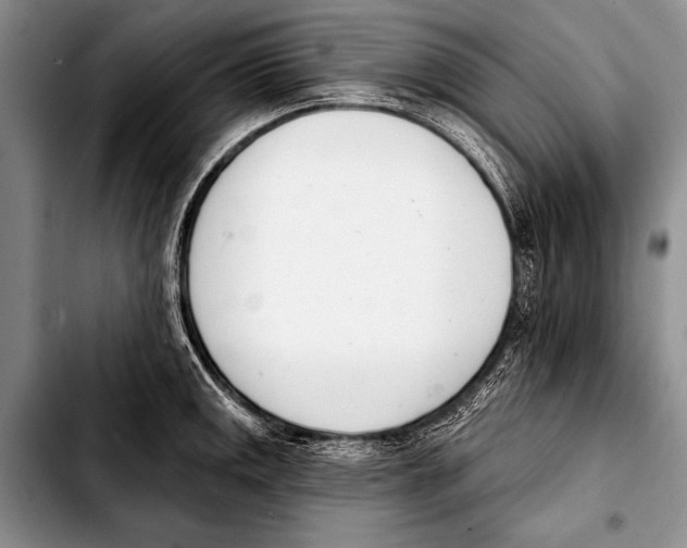 X0000103401141200810100928