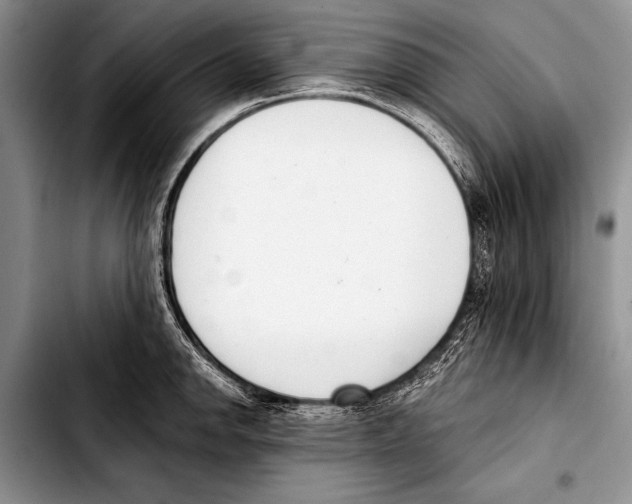 X0000103401142200810100928