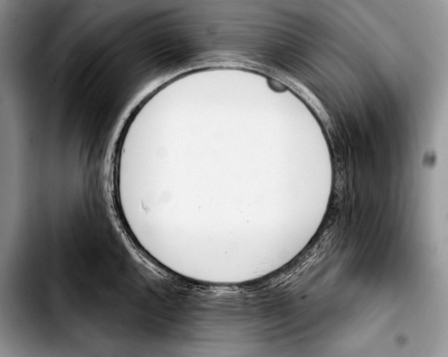 X0000103401144200810100928