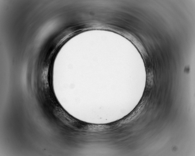 X0000103401150200810100928