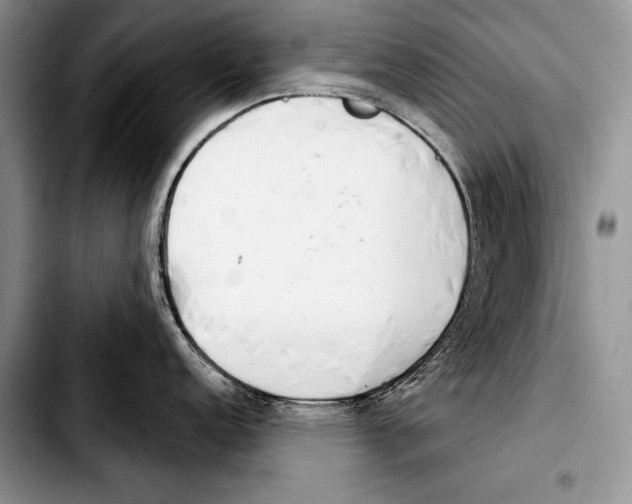 X0000103401152200810100928