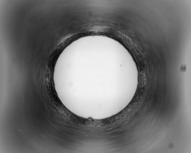 X0000103401158200810100927