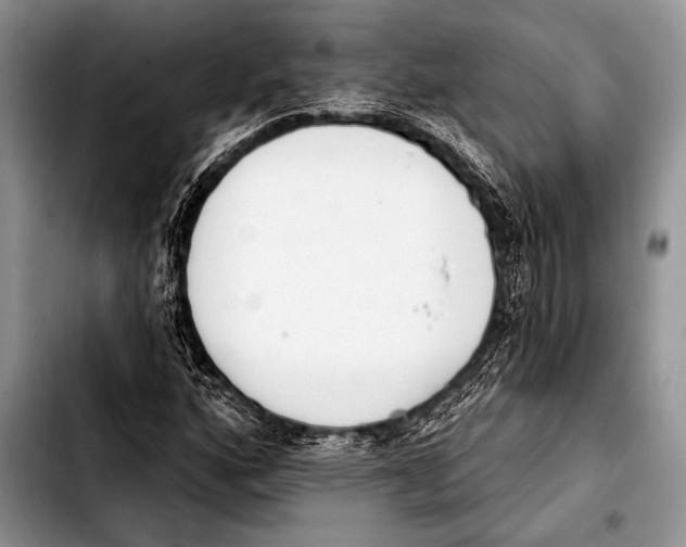 X0000103401160200810100927