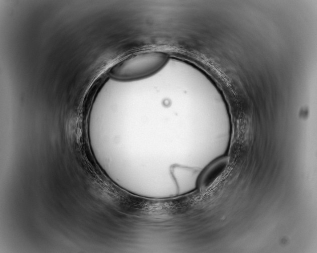 X0000103401165200810100927