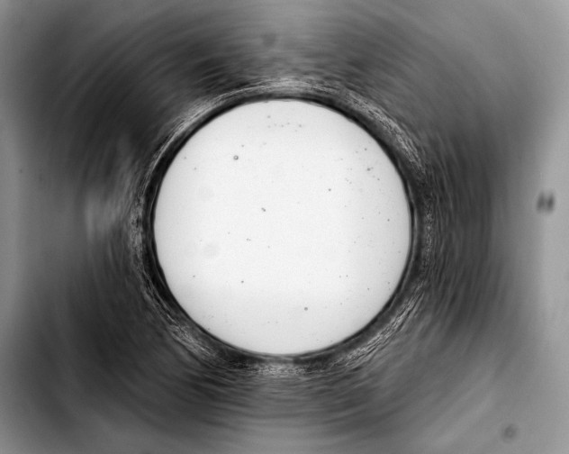 X0000103401170200810100927