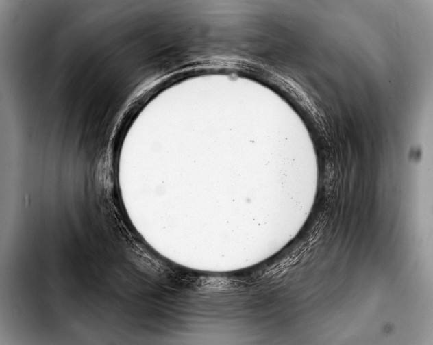 X0000103401172200810100927