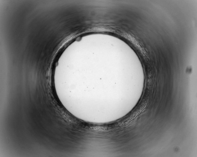 X0000103401173200810100927