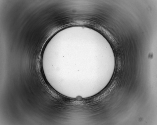 X0000103401178200810100927