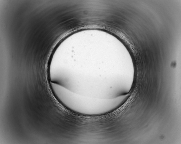 X0000103401181200810100927