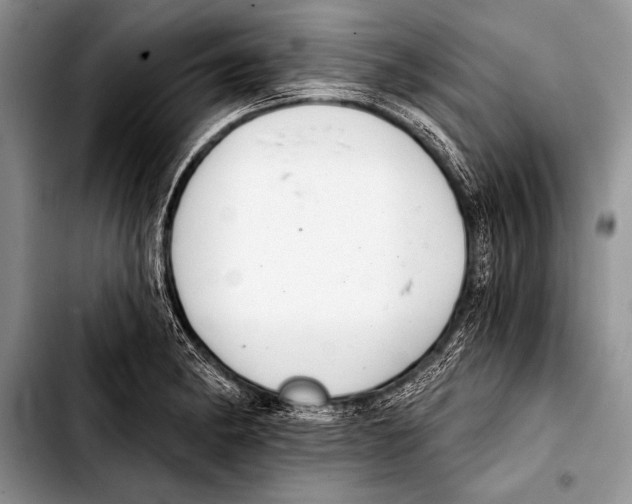 X0000103401182200810100927