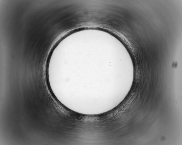 X0000103401183200810100927