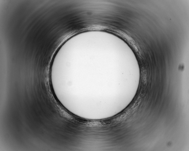 X0000103401186200810100927