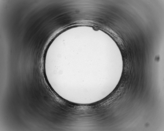 X0000103401188200810100927