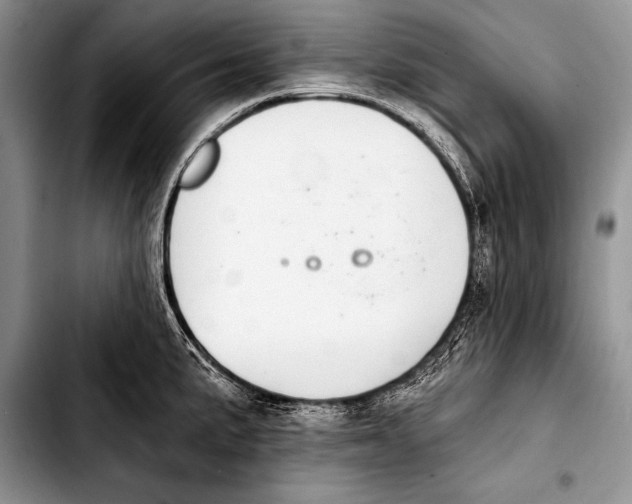 X0000103401191200810100926