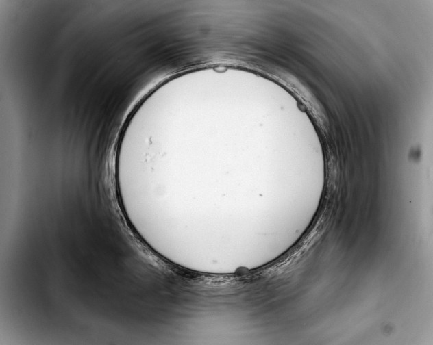 X0000103401198200810100926