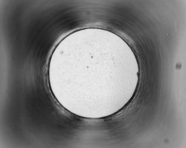 X0000103401200200810100926