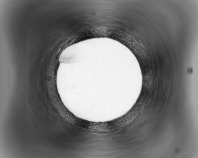 X0000103401201200810100926